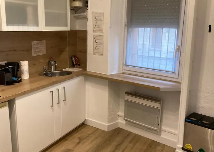 شقة Rosa تولوز